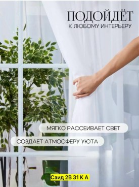 Одежда