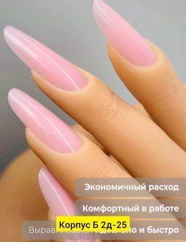 Одежда