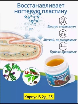 Одежда