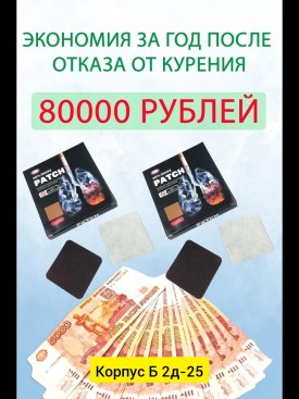 Одежда