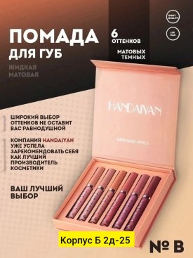 Одежда