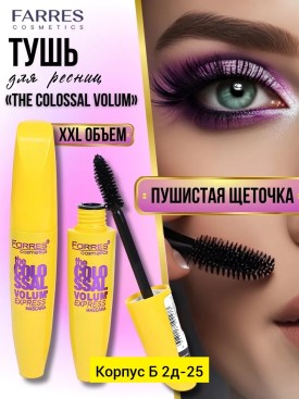 Одежда