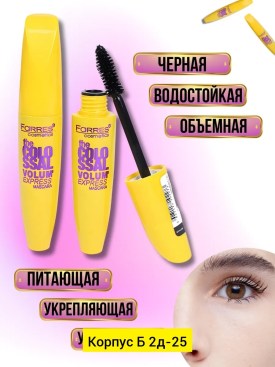 Одежда