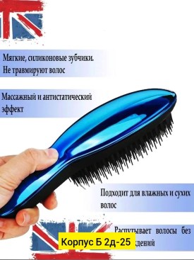 Одежда