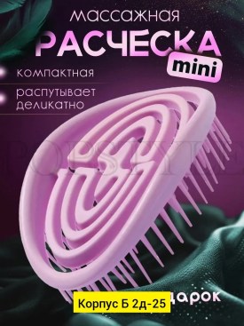 Одежда