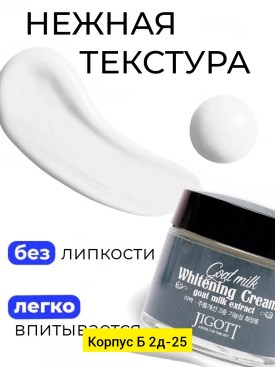 Одежда