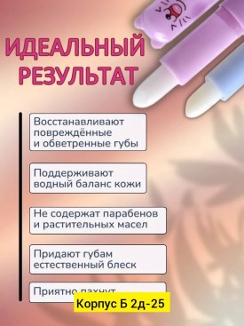 Одежда