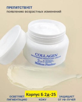 Одежда