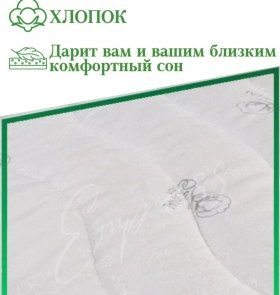 Одежда