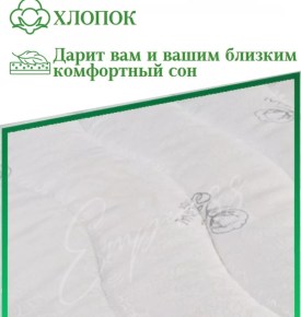 Одежда