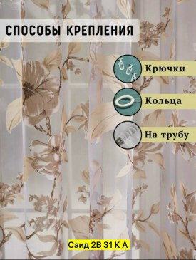 Одежда