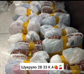 Одежда