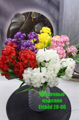 Новый год