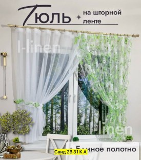 Одежда