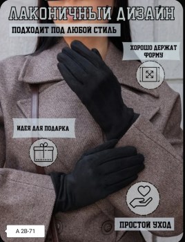 Одежда