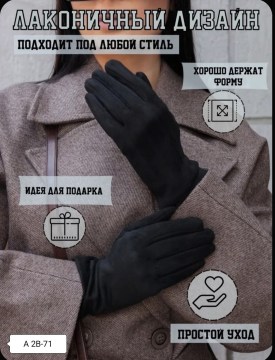 Одежда