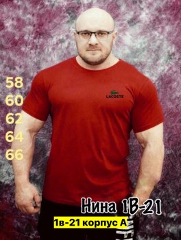 Футболка