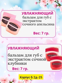 Одежда