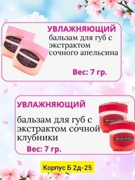 Одежда