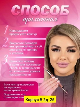 Одежда