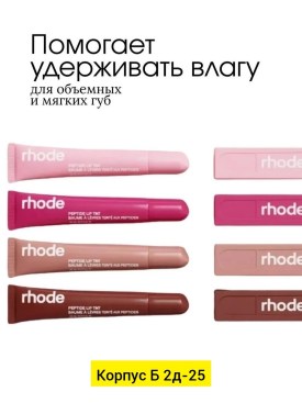 Одежда