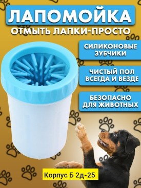 Одежда