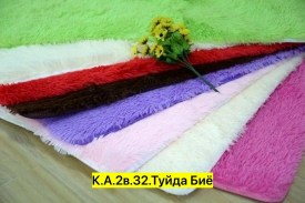 Одежда