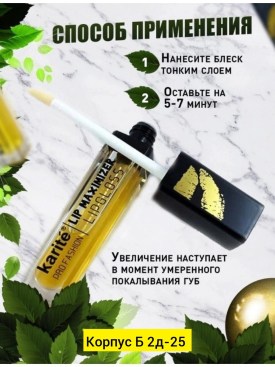 Одежда