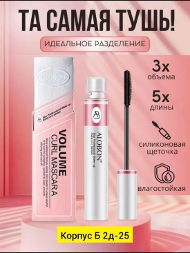 Одежда