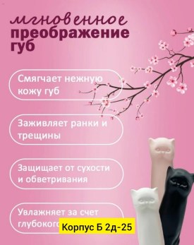 Одежда