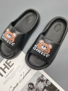 Сланцы