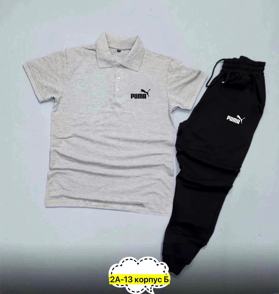 спортивные костюмы,спортивный костюм мужской puma,мужские спортивные костюмы,штаны трикотаж,костюм мужской