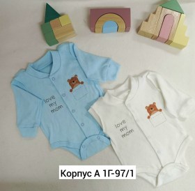 Боди