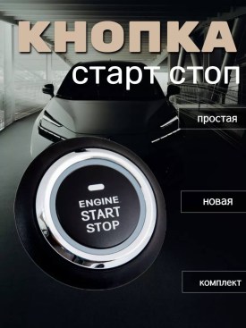 Одежда