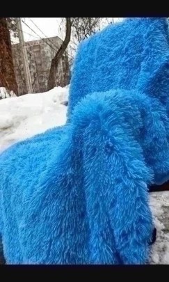Одежда