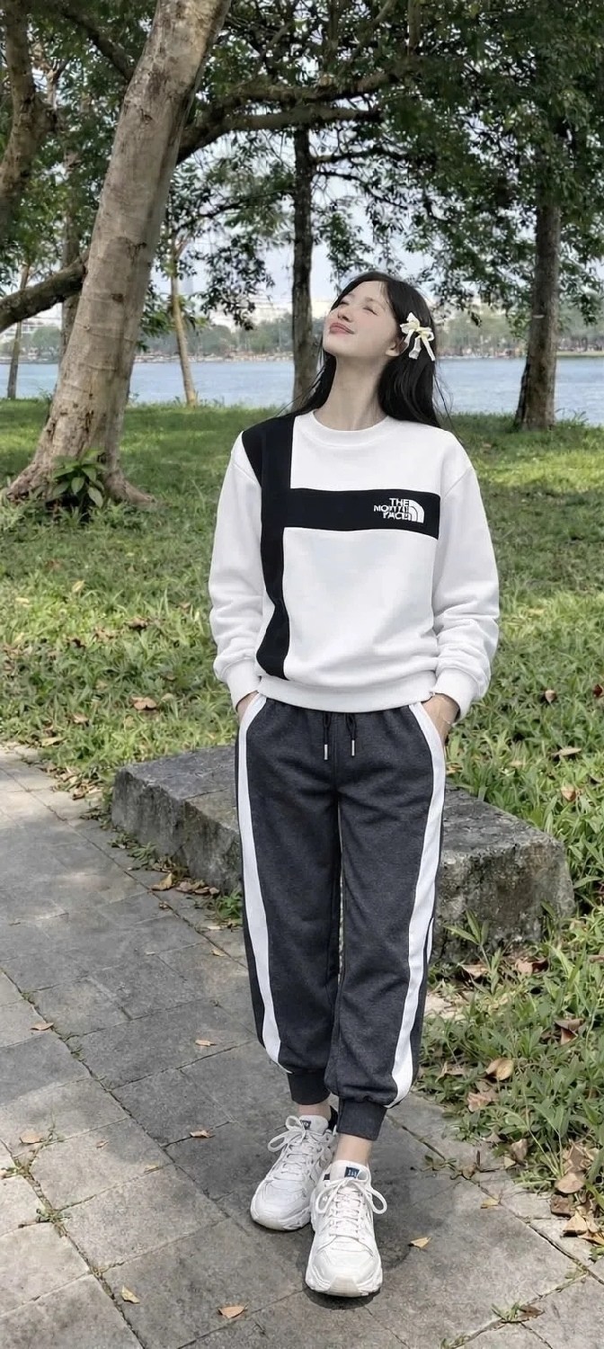 комплект одежды the north face,костюм спортивный the north face,толстовка,свитшот мужской