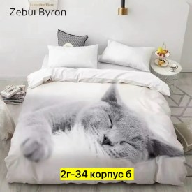 Одежда