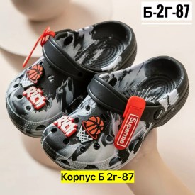 Сланцы