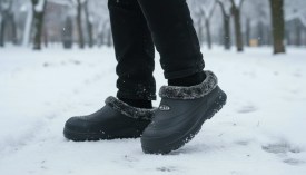 Одежда