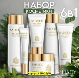 Одежда
