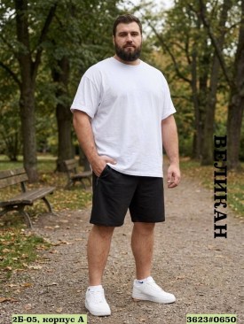 Шорты