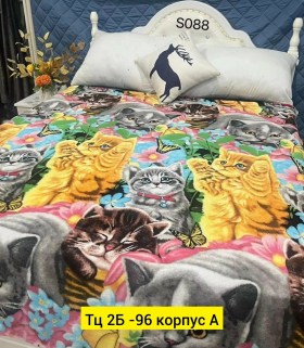 Одежда