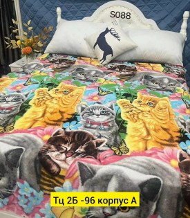 Одежда