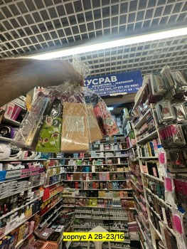 Одежда