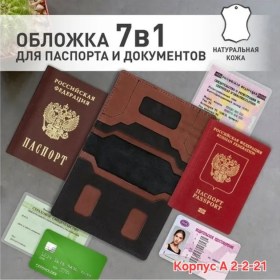 Одежда