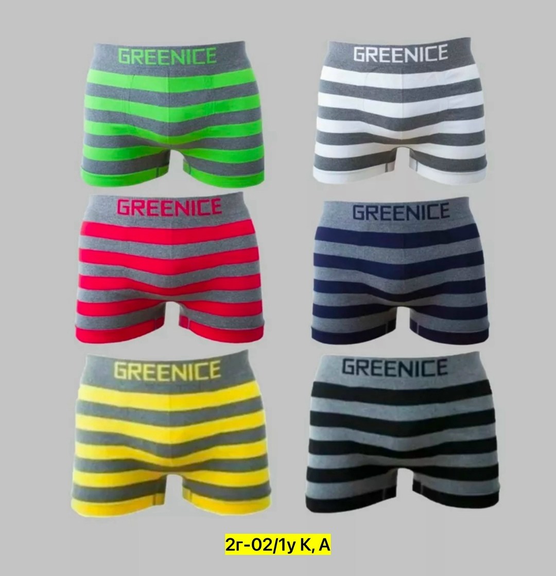 greenice трусы мужские,greenice трусы боксеры бесшовные мужские,greenice боксеры мужские бесшовные,комплект трусов боксеры greenice,greenice мужские трусы боксеры 2 штуки бесшовные