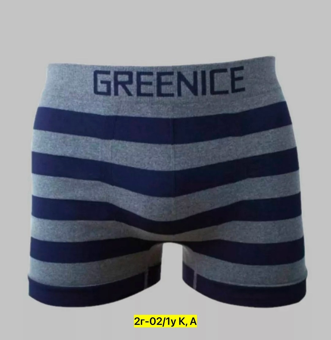 greenice трусы мужские,greenice трусы боксеры бесшовные мужские,greenice боксеры мужские бесшовные,комплект трусов боксеры greenice,greenice мужские трусы боксеры 2 штуки бесшовные