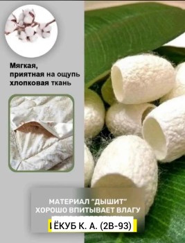 Одежда