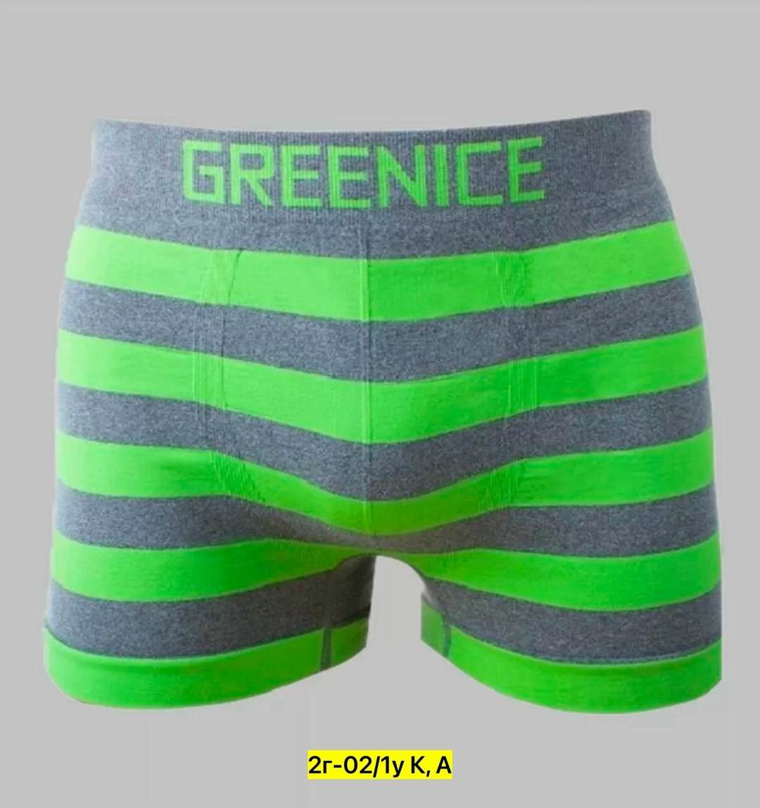 greenice трусы мужские,greenice трусы боксеры бесшовные мужские,greenice боксеры мужские бесшовные,комплект трусов боксеры greenice,greenice мужские трусы боксеры 2 штуки бесшовные