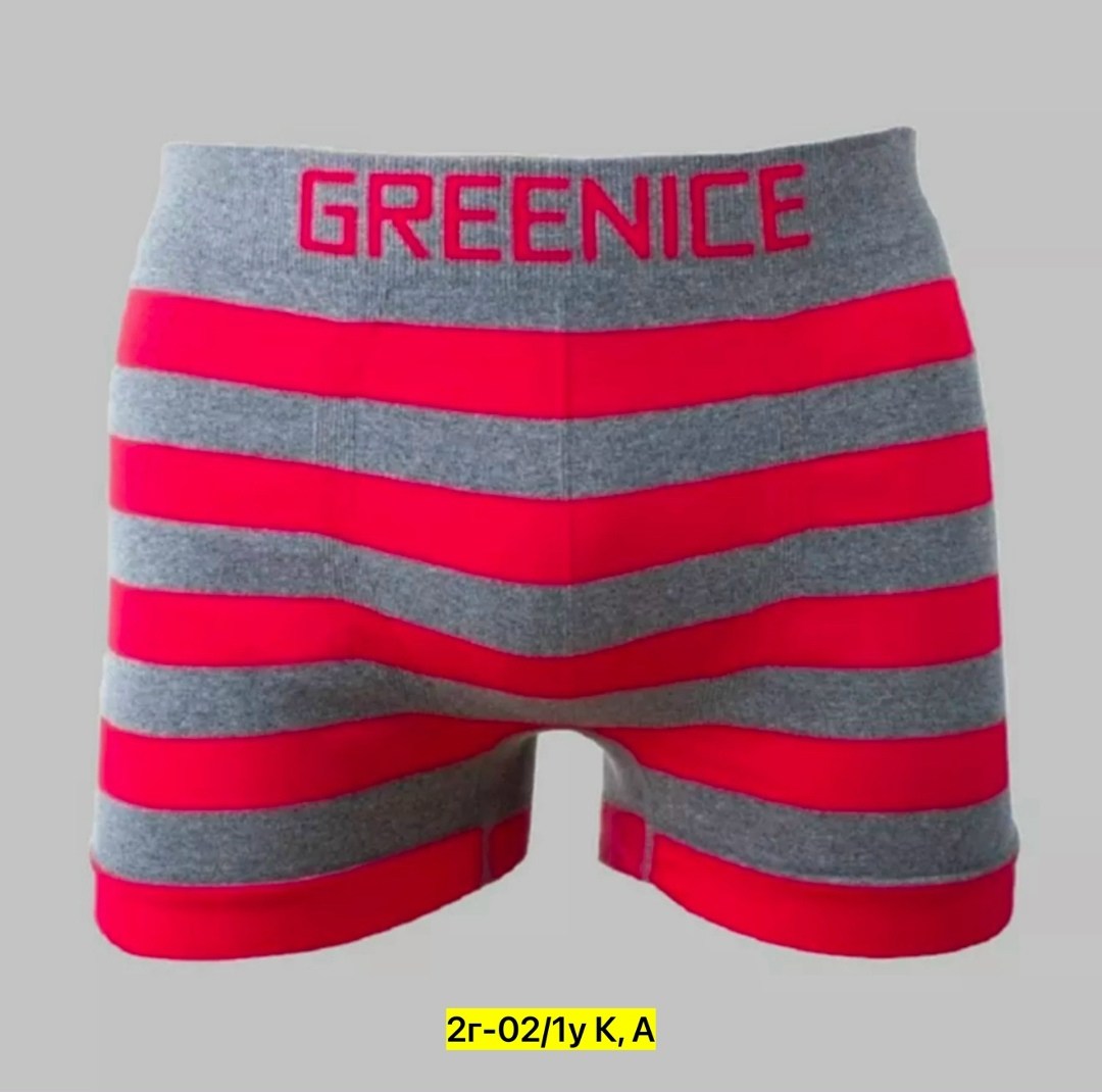 greenice трусы мужские,greenice трусы боксеры бесшовные мужские,greenice боксеры мужские бесшовные,комплект трусов боксеры greenice,greenice мужские трусы боксеры 2 штуки бесшовные